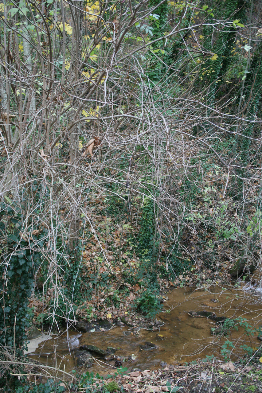 Châtel-Guyon — le Sardon